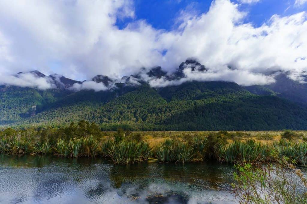 Milford Track Most Beautiful Places In New Zealand