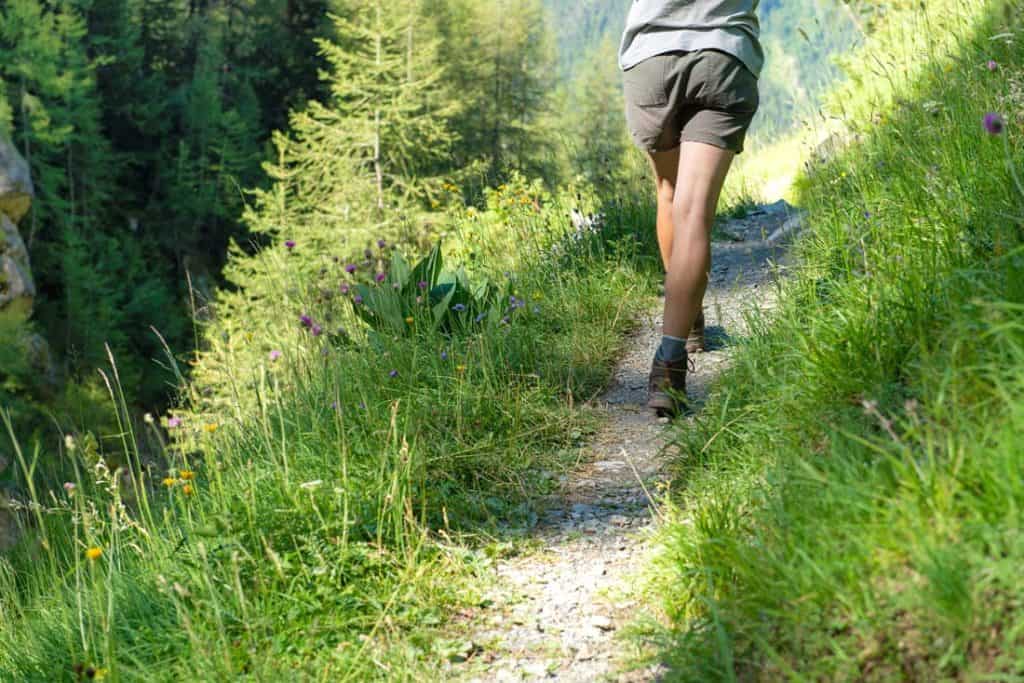 best hiking shorts for women
