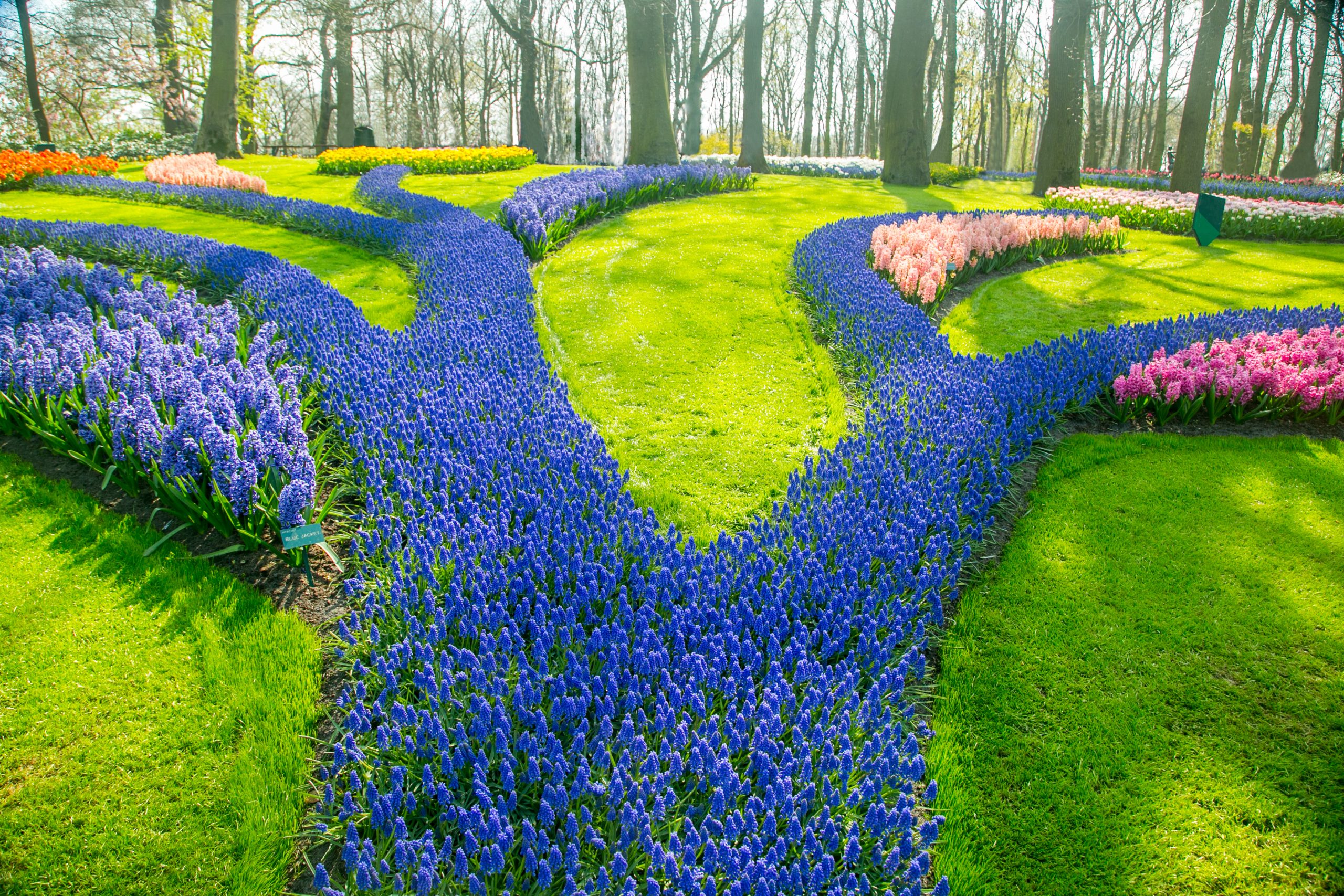 best places to visit europe in march - Noordoostpolder, Holland