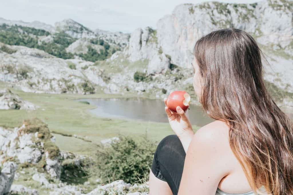 An Apple a Day Snack For Hiking