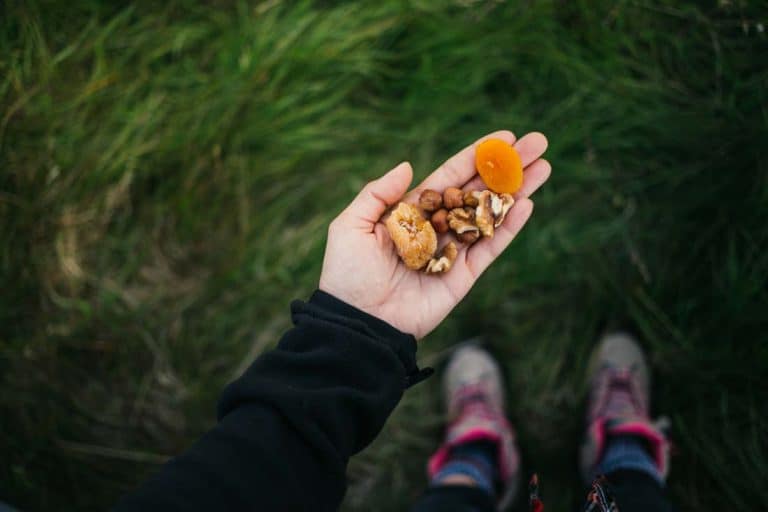 Best Snacks For Hiking in Hot Weather