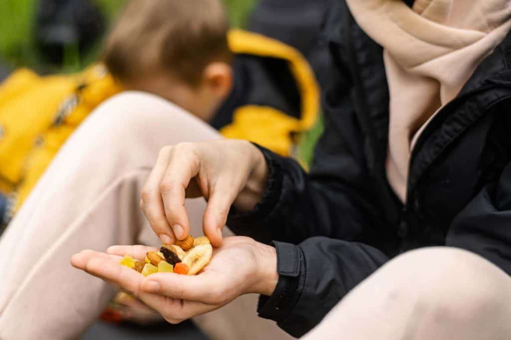 Trail Mix Snack For Hiking