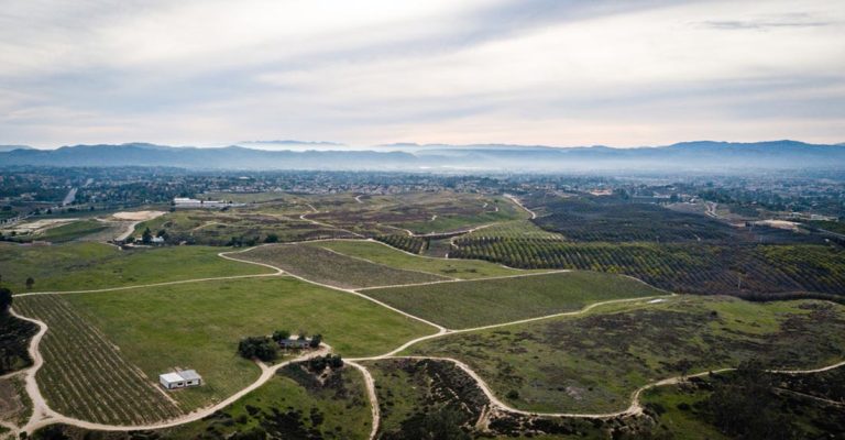 Aerial Drone Photo of vineyards in Temecula - Things To Do In Temecula